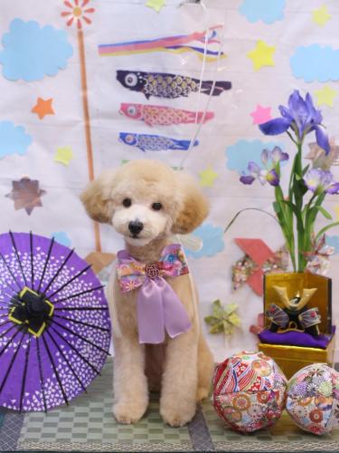 20240503エネルくん